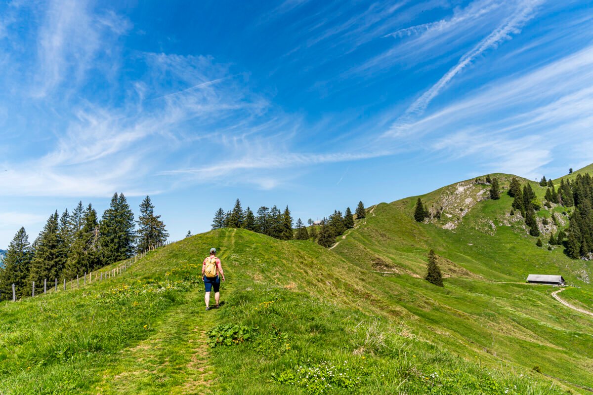 Final ascent to Chli Aubrig summit
