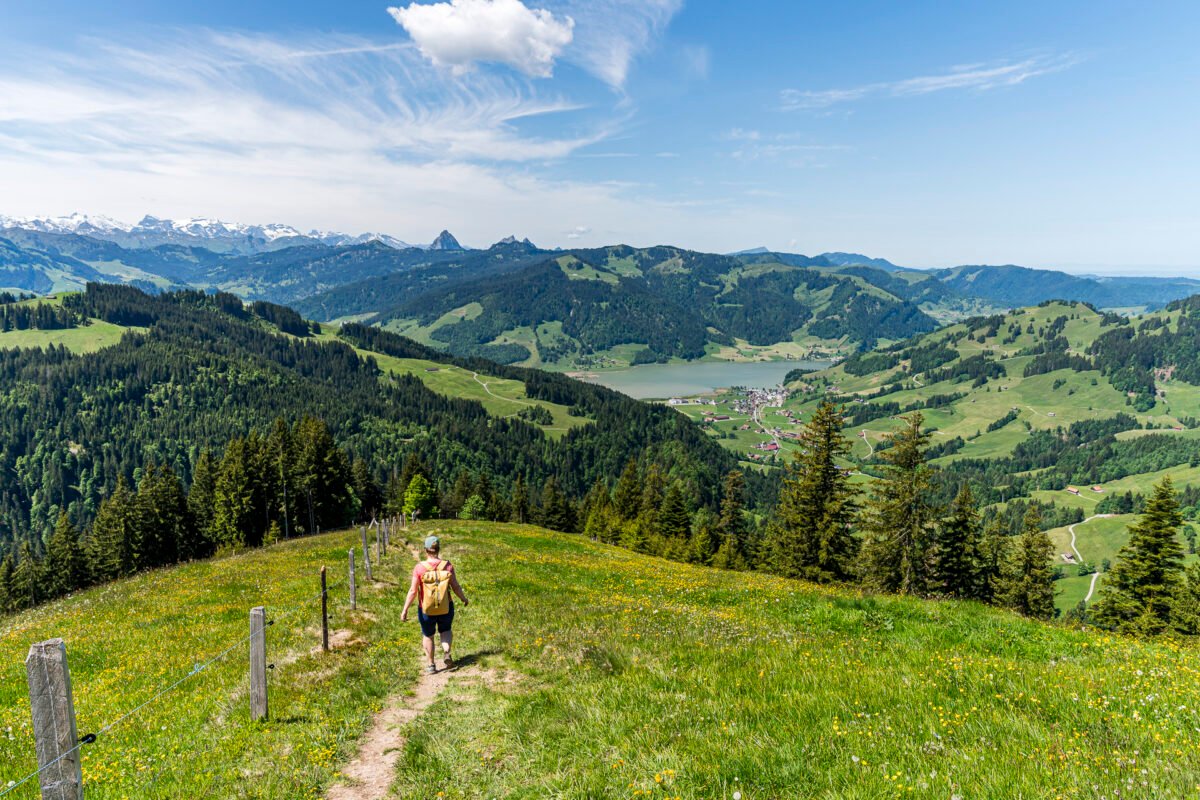 Hike from Alp Wildegg