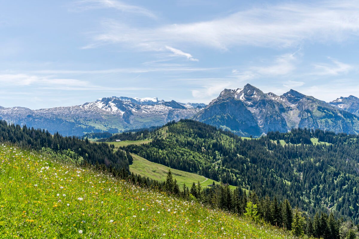 Landscape in Euthal