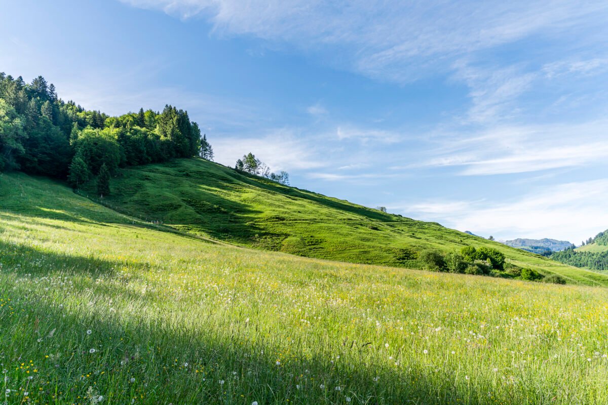 Euthal farmland