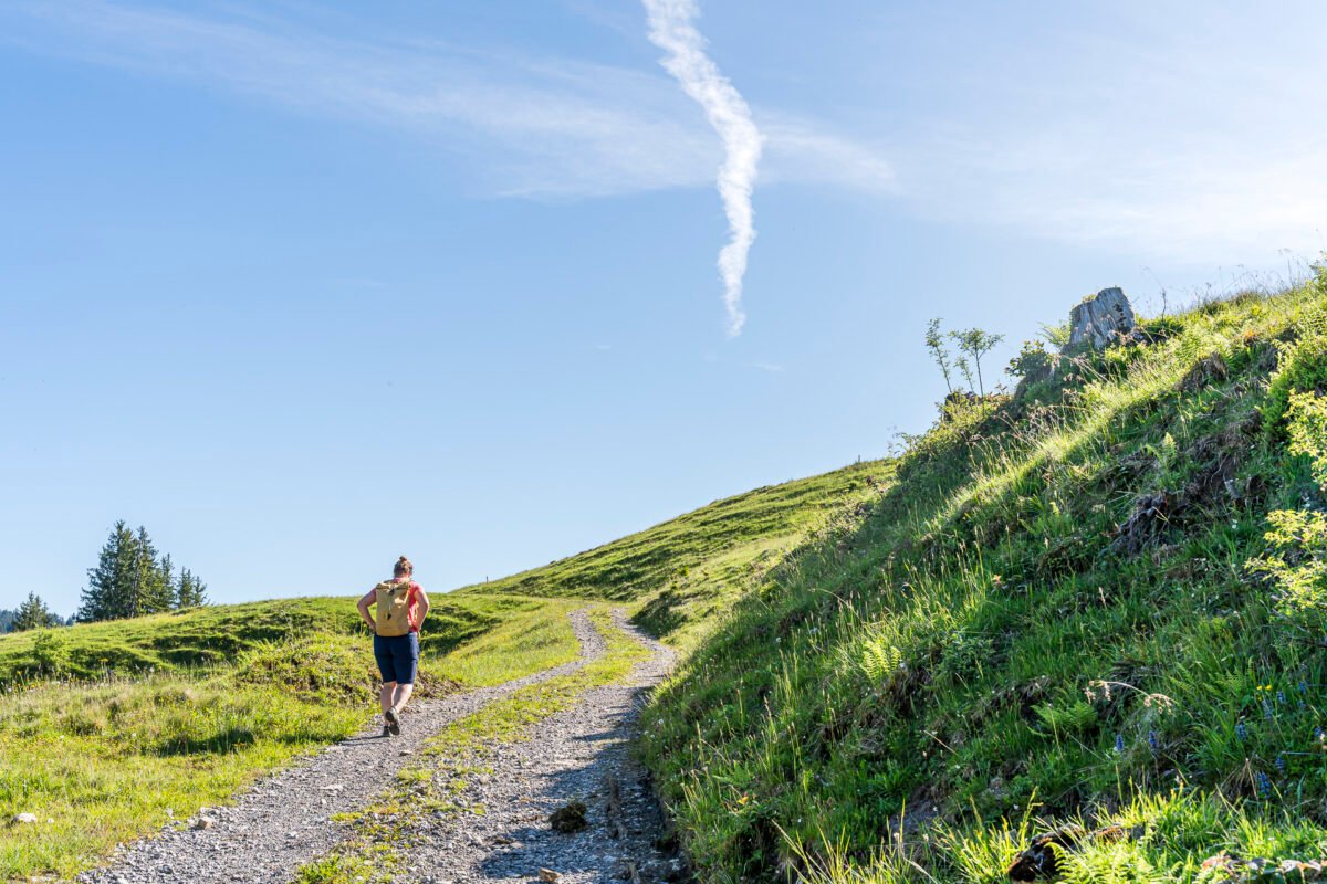 Climb to Wisstanne Euthal
