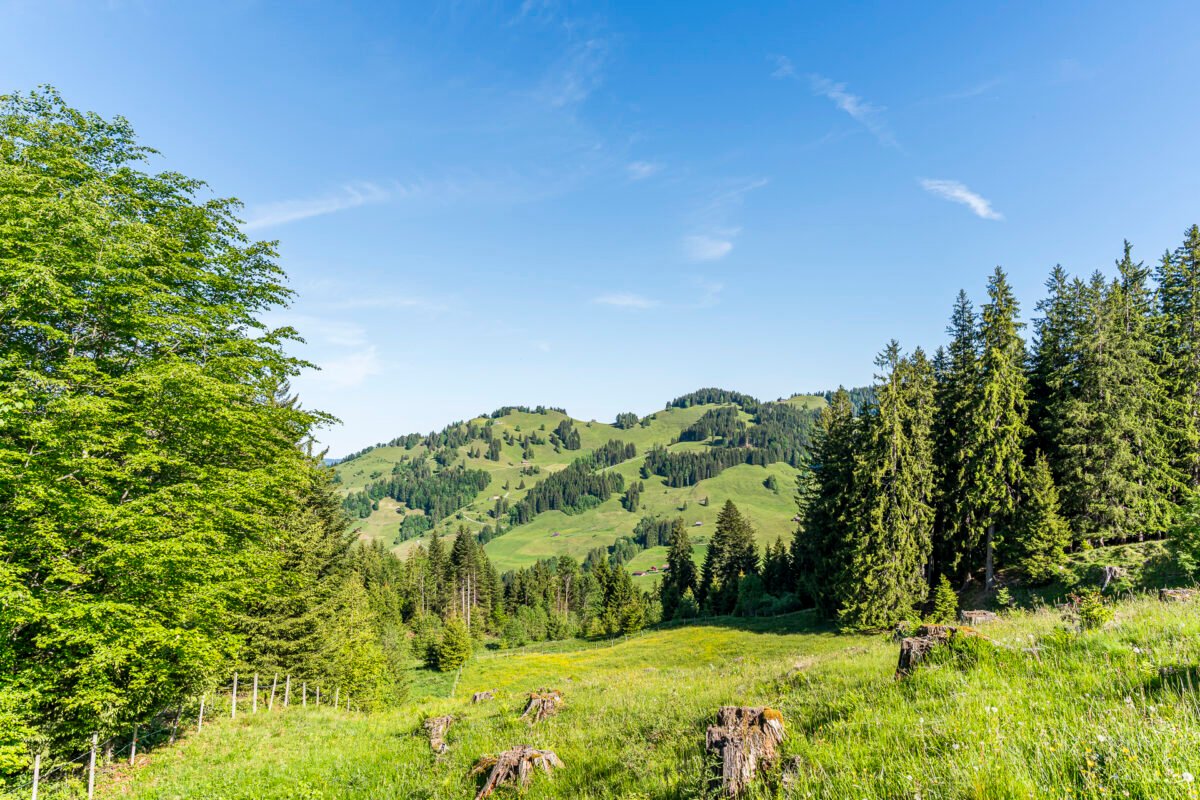 View of Euthal