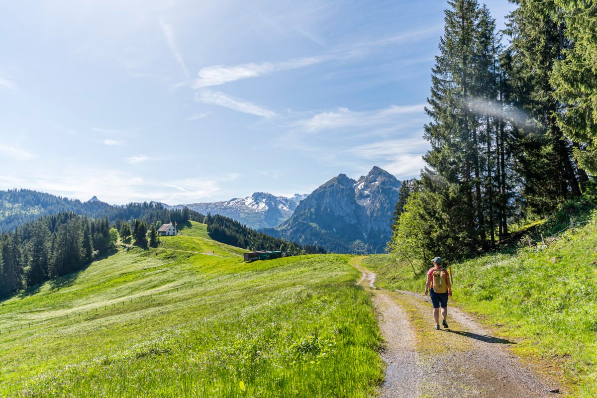 Hike to Alp Wisstanne
