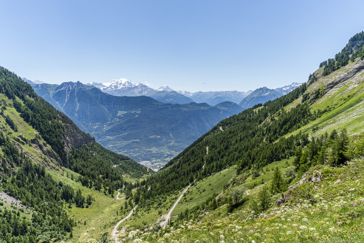 Petit Pré near Ovronnaz