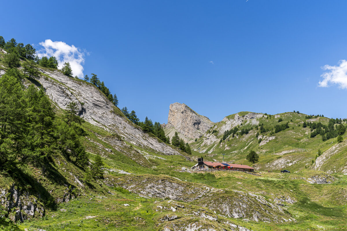 Gîte Louie d'Août Jorasse