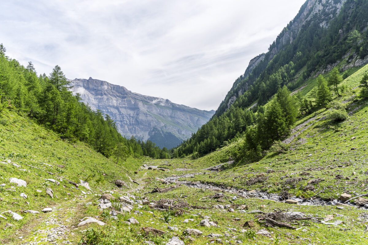 Hike Derborence - Muveran