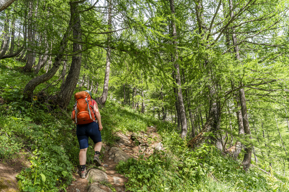 Derborence hike